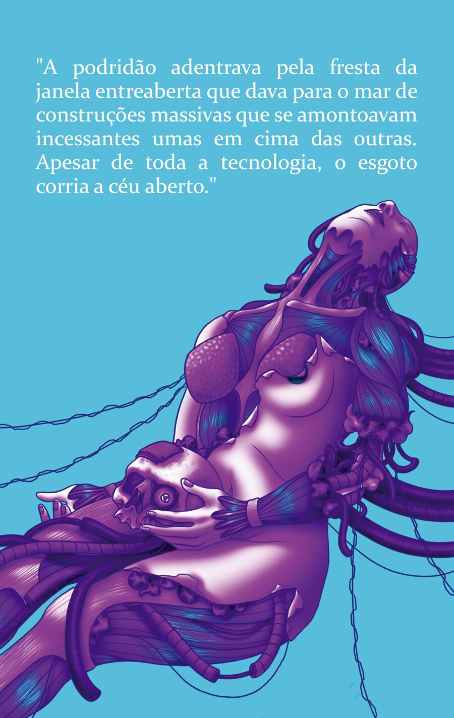 Contracapa do livro São Paulo
